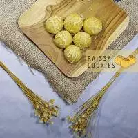 Mira Ayu Candra Palupi